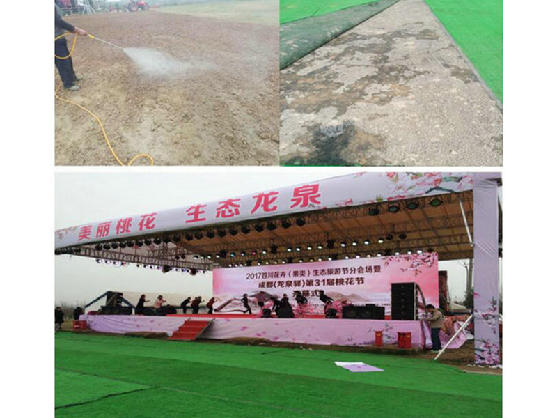 37四川龍泉驛某觀光場地草坪固化